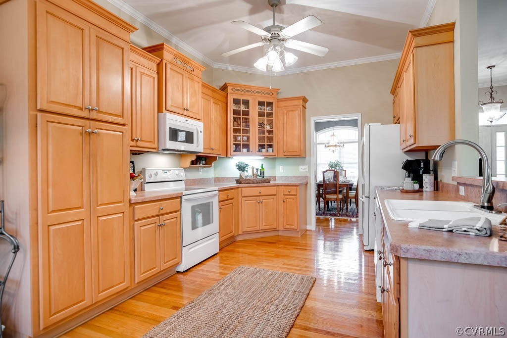 13818 Spyglass Hill Cir