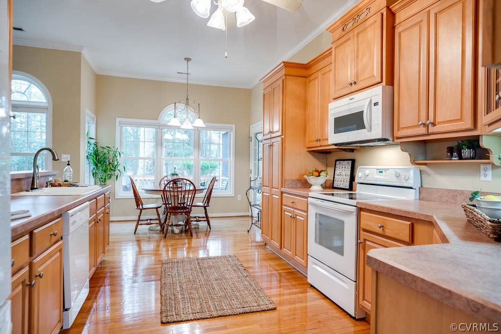 13818 Spyglass Hill Cir