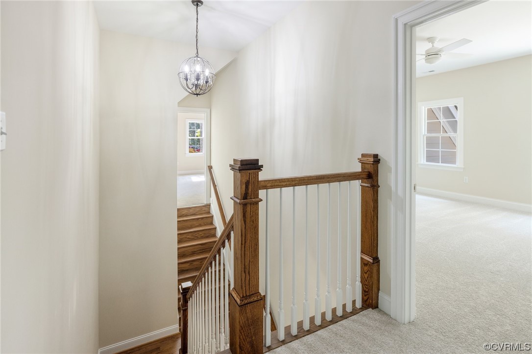 2211 Hollow Log Path