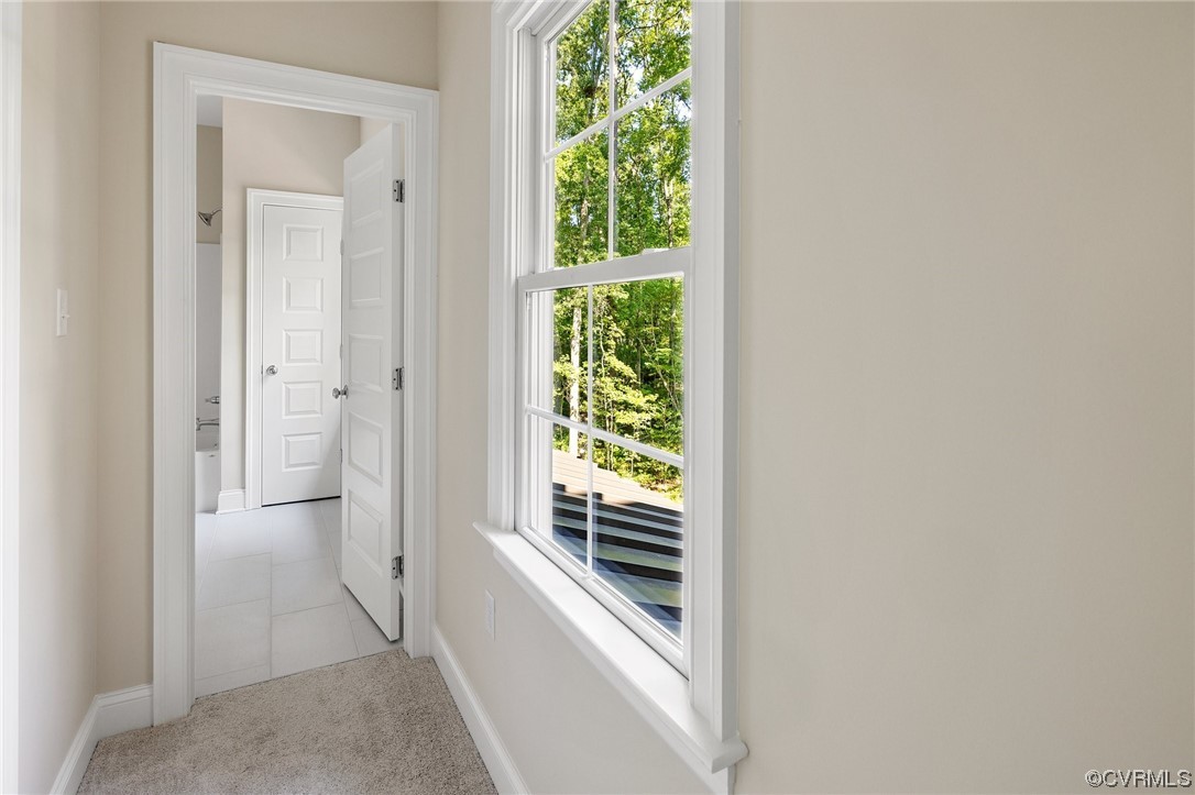 2211 Hollow Log Path