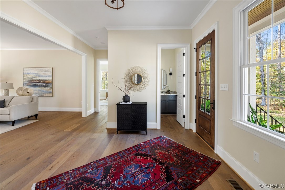 2211 Hollow Log Path