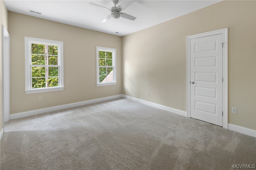 2211 Hollow Log Path