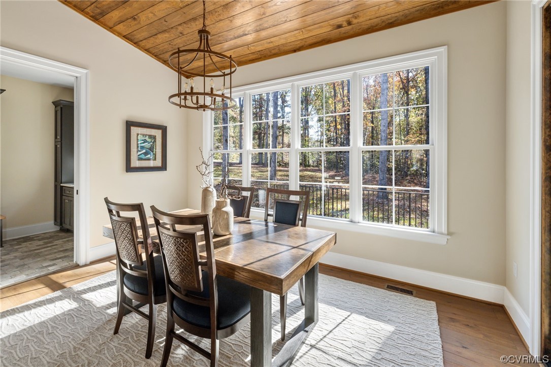 2211 Hollow Log Path