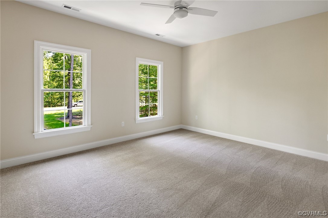 2211 Hollow Log Path