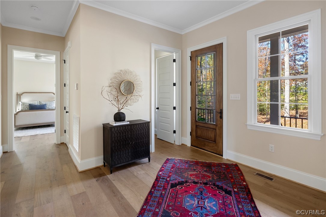 2211 Hollow Log Path