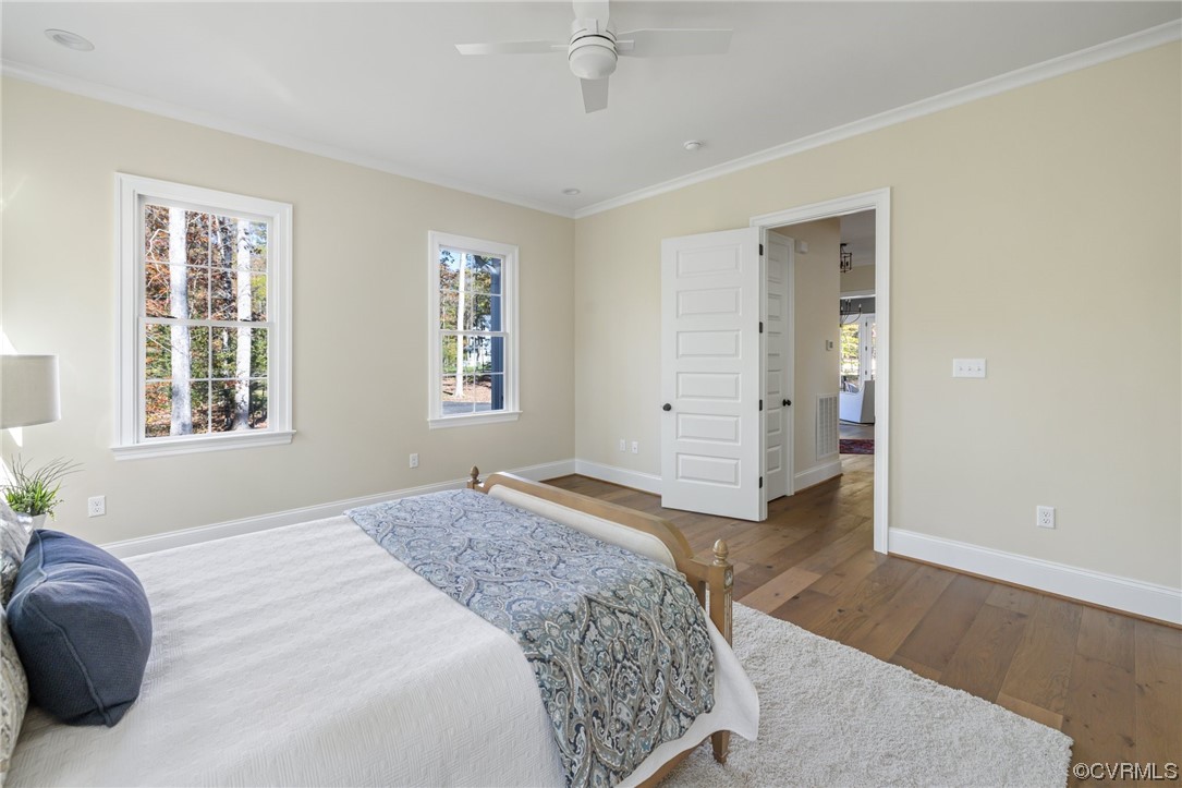 2211 Hollow Log Path