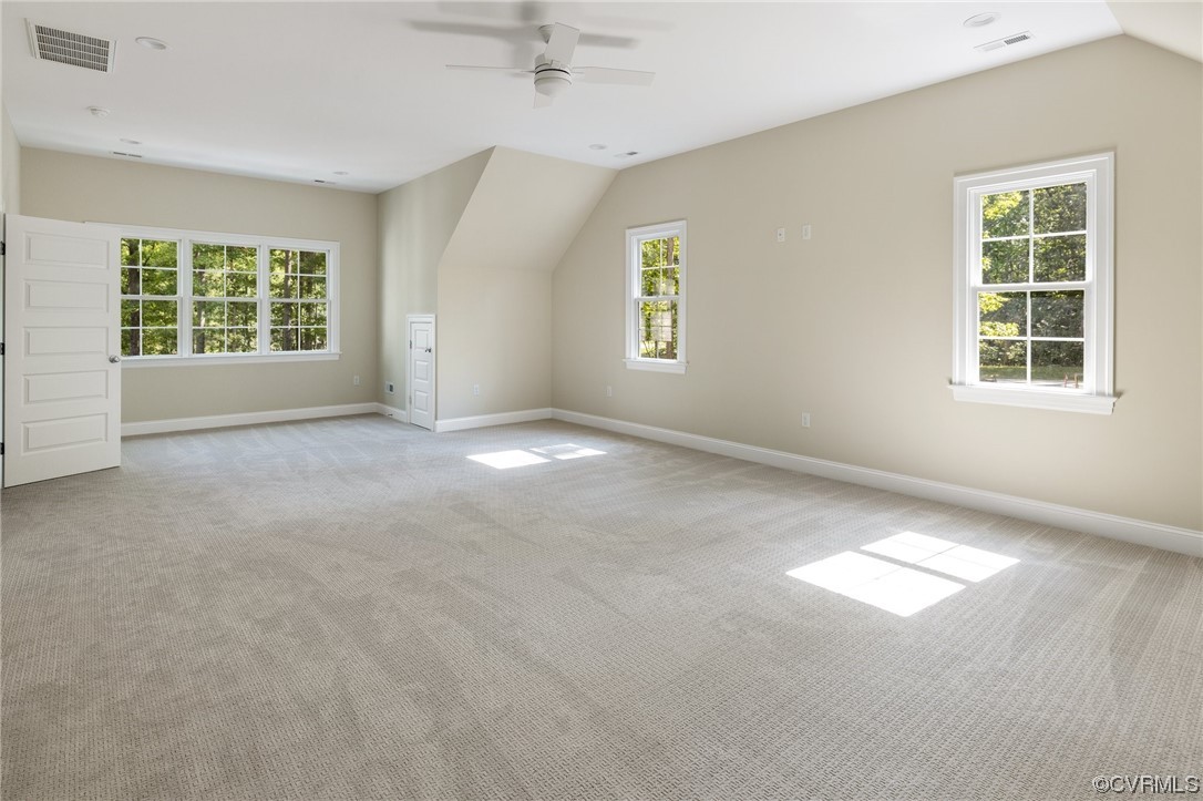 2211 Hollow Log Path