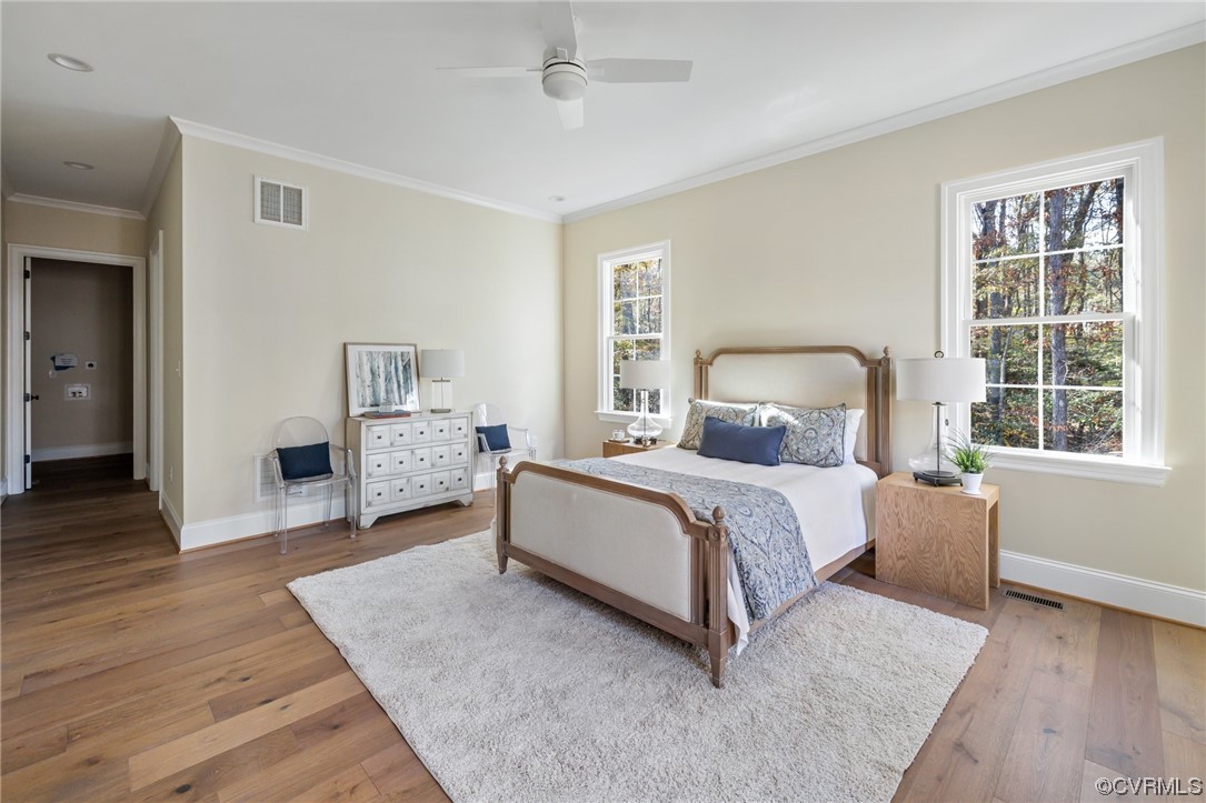 2211 Hollow Log Path