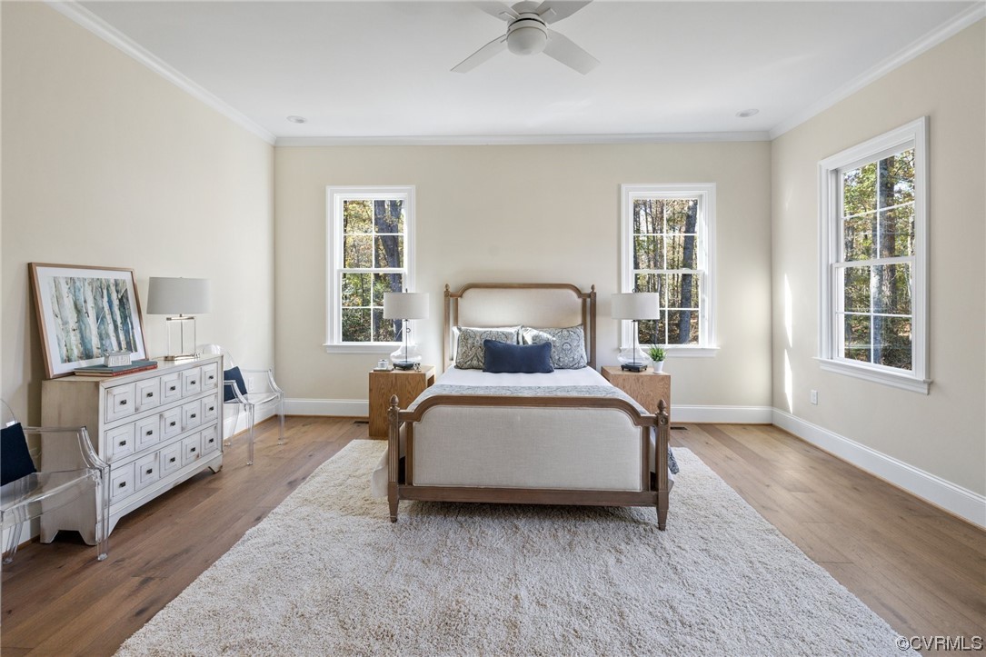 2211 Hollow Log Path