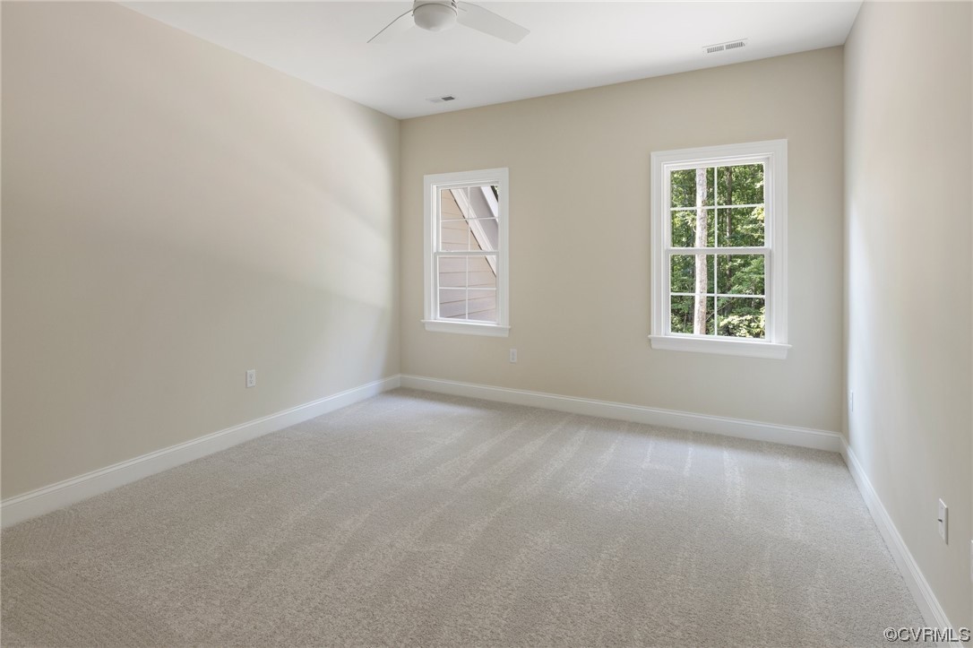 2211 Hollow Log Path