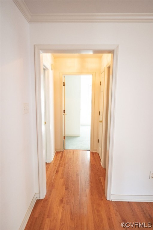 800 Fort Hayes Ct Unit#B