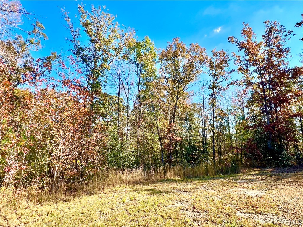 3750 Little Buck Trl