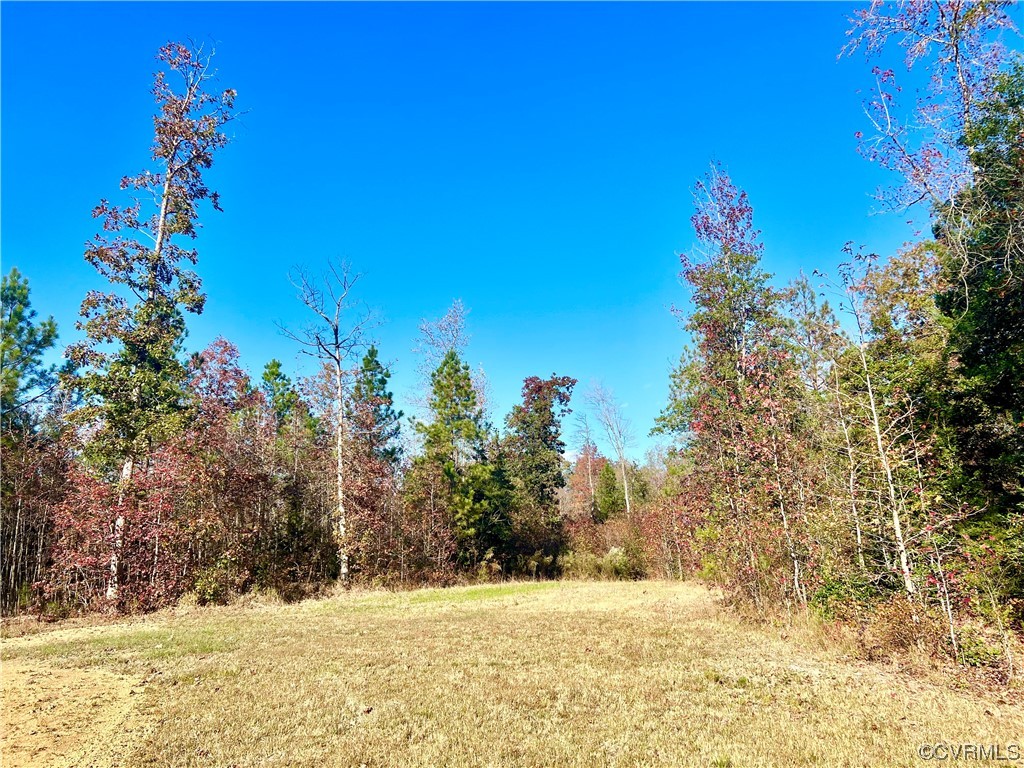 3750 Little Buck Trl