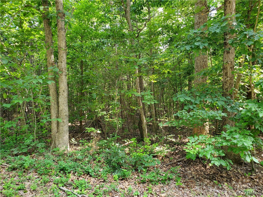 5.044 Acres High Point Rd