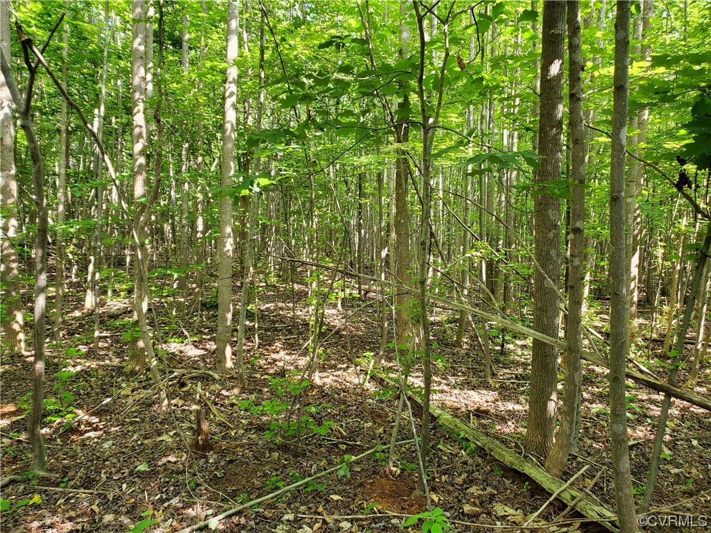 5.044 Acres High Point Rd