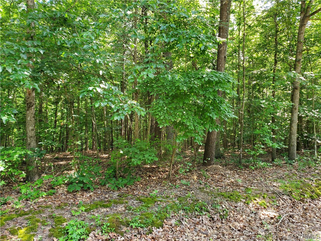 5.044 Acres High Point Rd