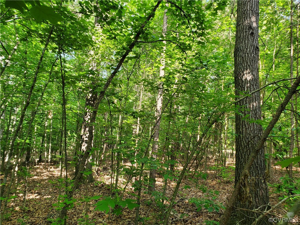 5.044 Acres High Point Rd