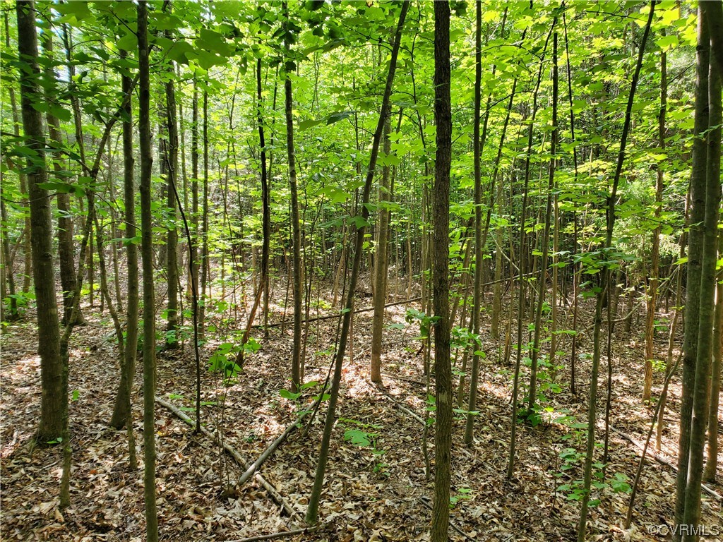 11.972 Acres High Point Rd