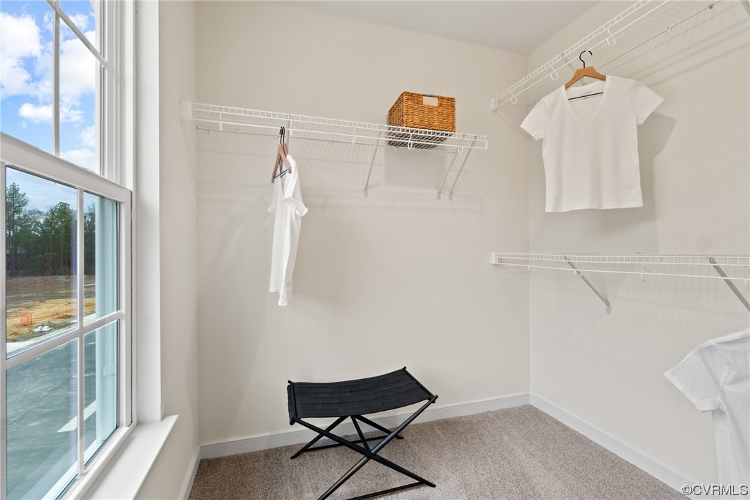 13809 Village View Dr