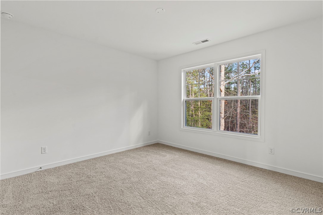 10913 Waterfowl Flyway Ct