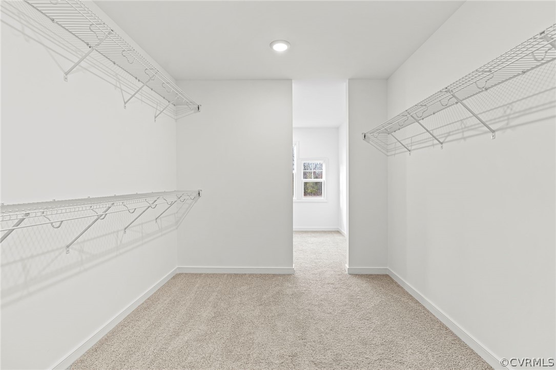 10913 Waterfowl Flyway Ct