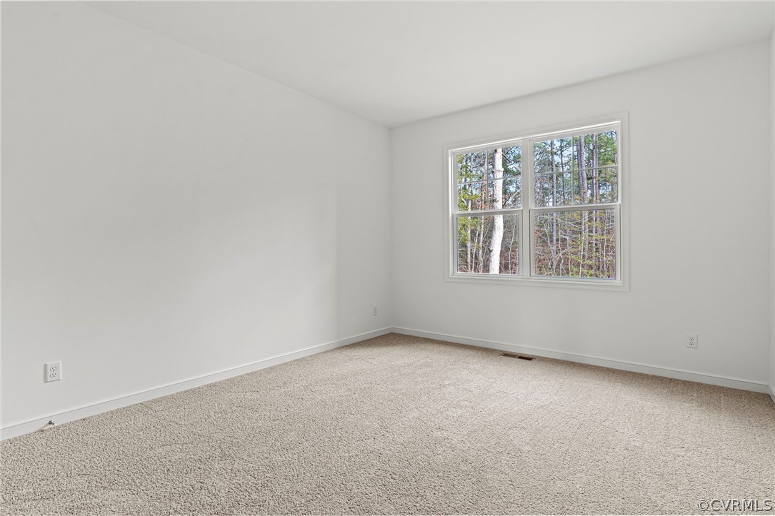 10913 Waterfowl Flyway Ct