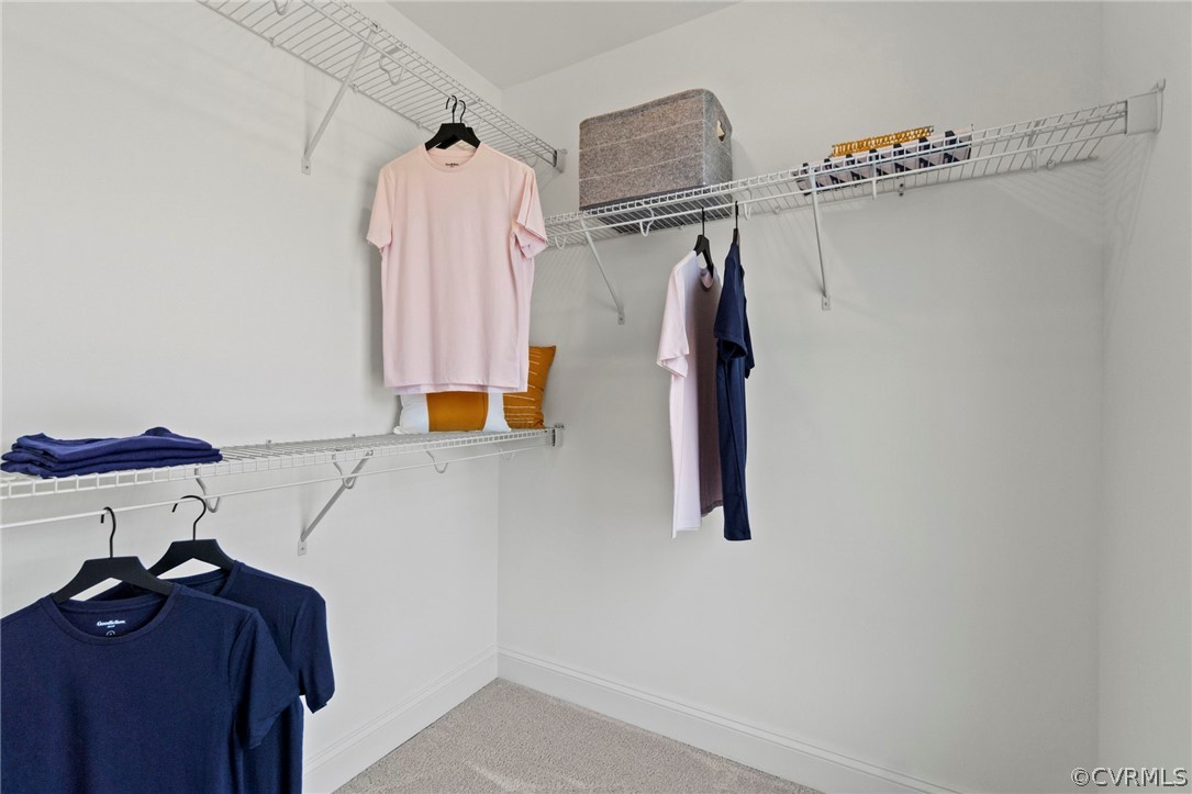 405 Randolph View Dr