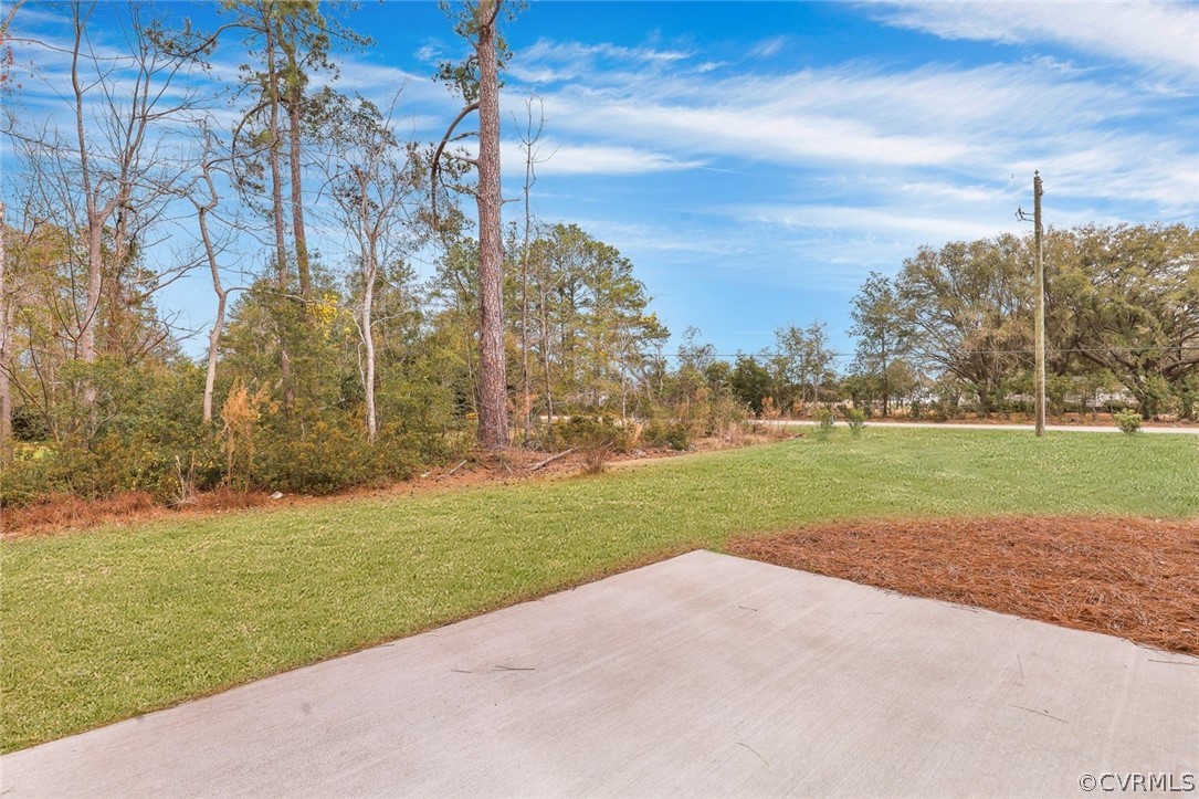 217 Popular Forest Ct