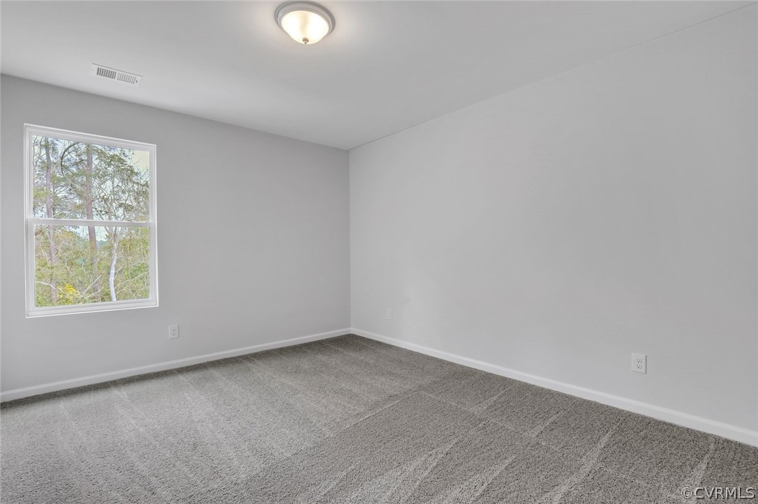 217 Popular Forest Ct