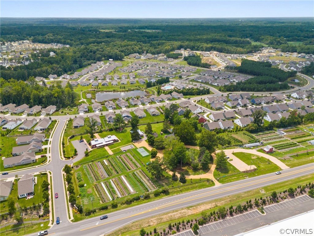 10428 Meadow Woods Ct