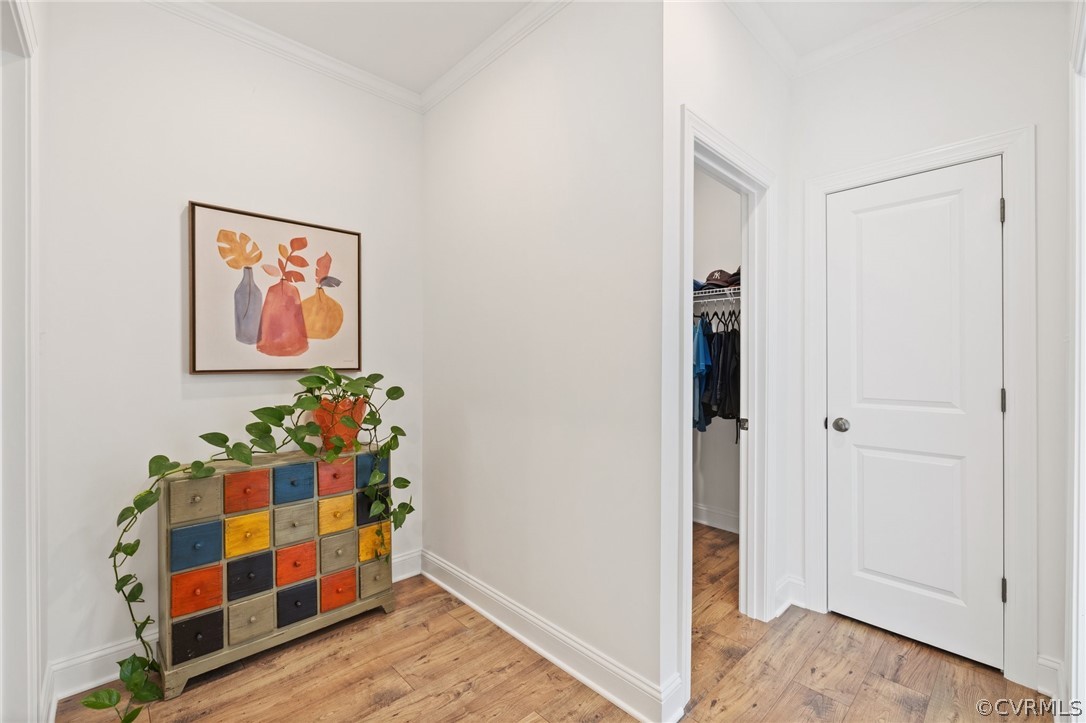 10428 Meadow Woods Ct