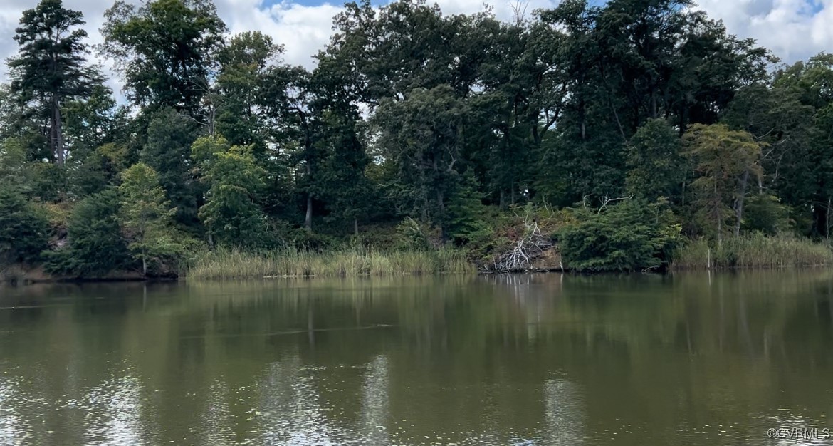 0 Piscataway Creek Island