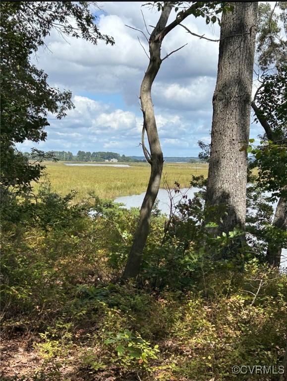 0 Piscataway Creek Island