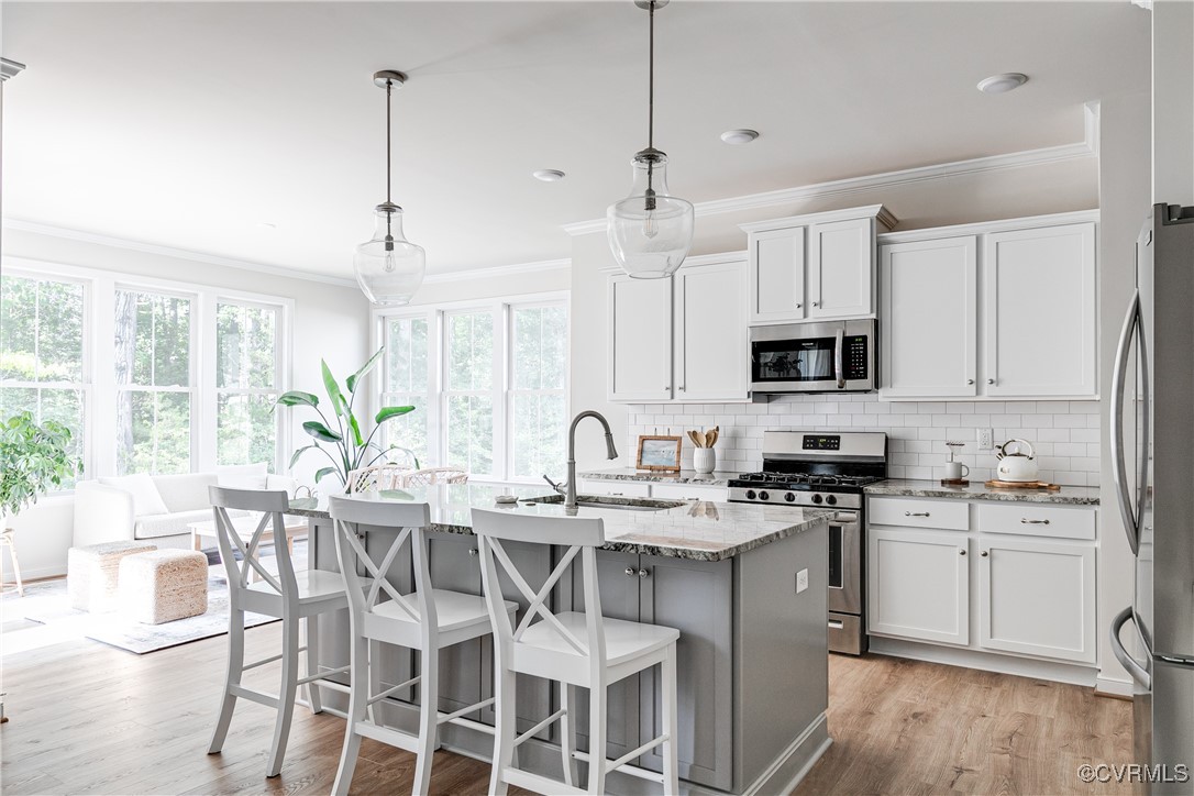 15830 W Millington Dr