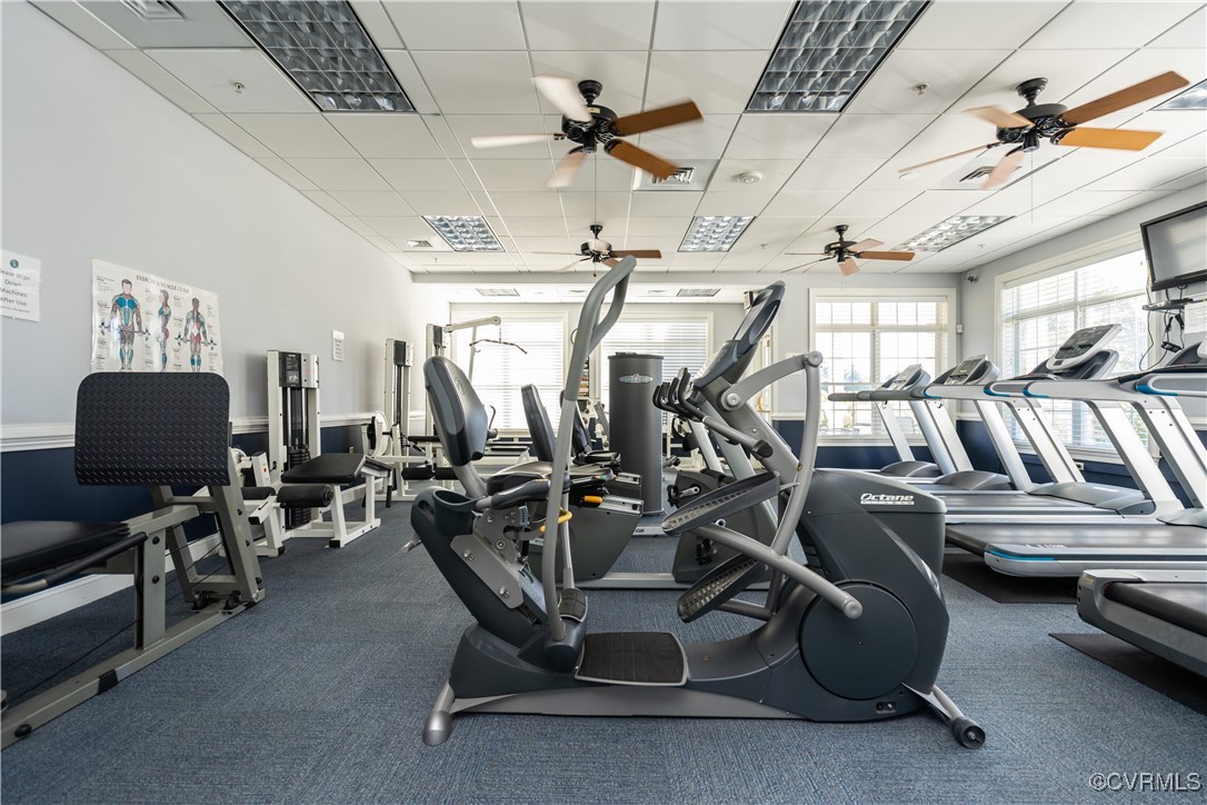 4109 Coles Point Way