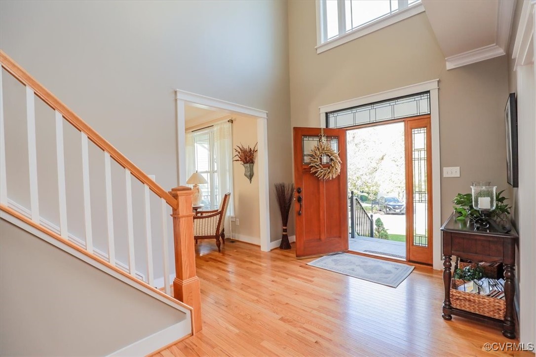 12213 Golden Aster Ter