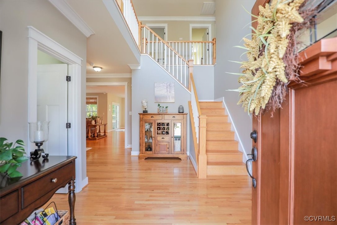 12213 Golden Aster Ter