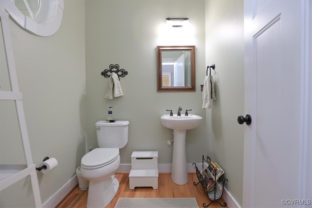 12213 Golden Aster Ter