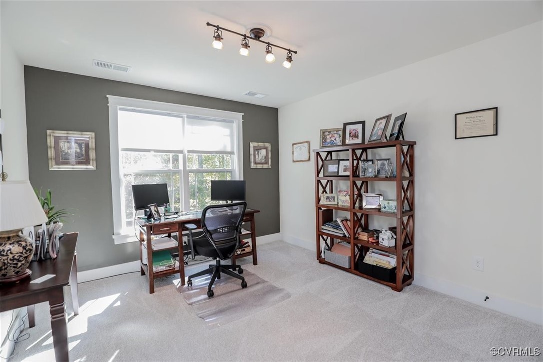 12213 Golden Aster Ter