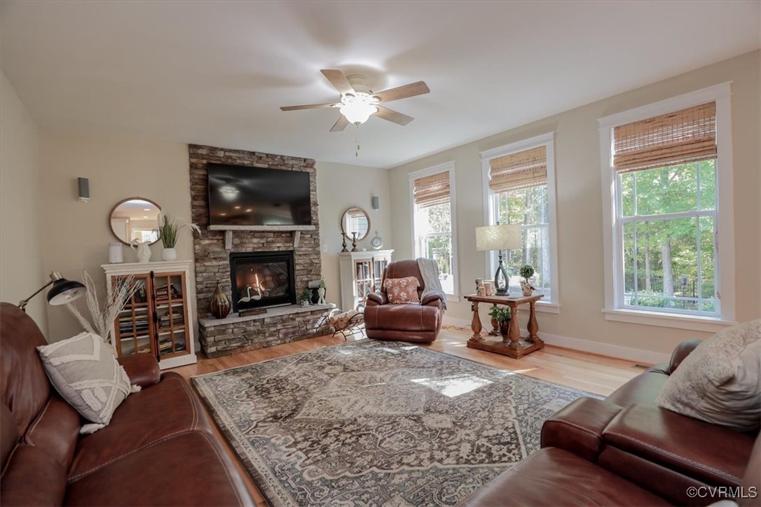 12213 Golden Aster Ter