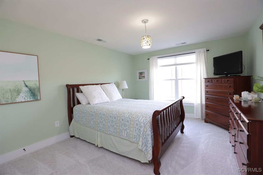 12213 Golden Aster Ter