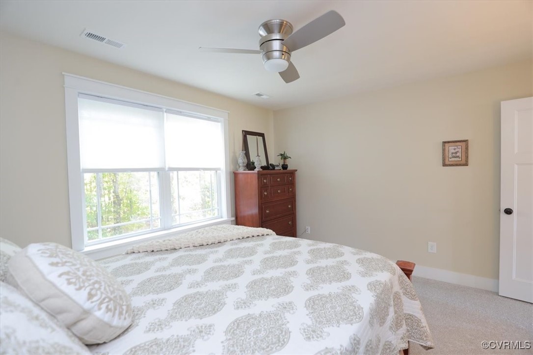 12213 Golden Aster Ter