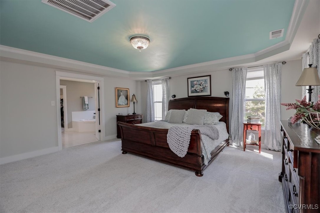 12213 Golden Aster Ter