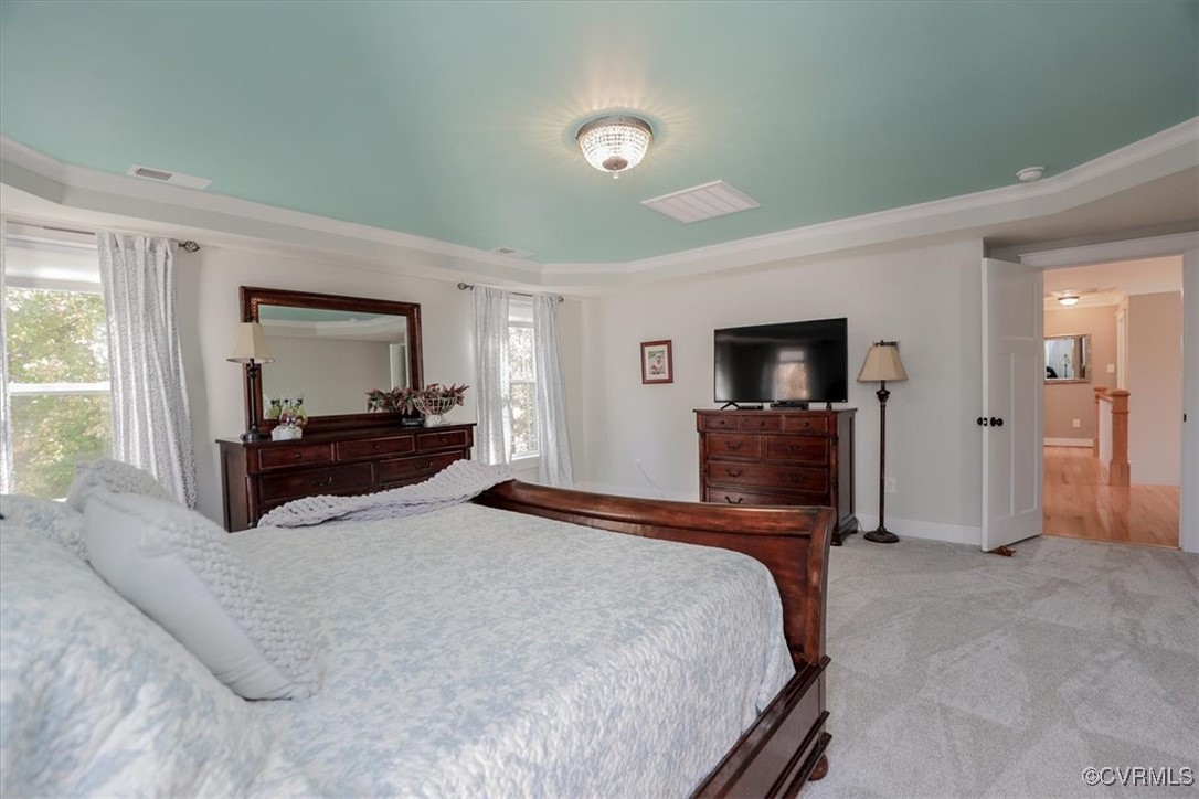 12213 Golden Aster Ter