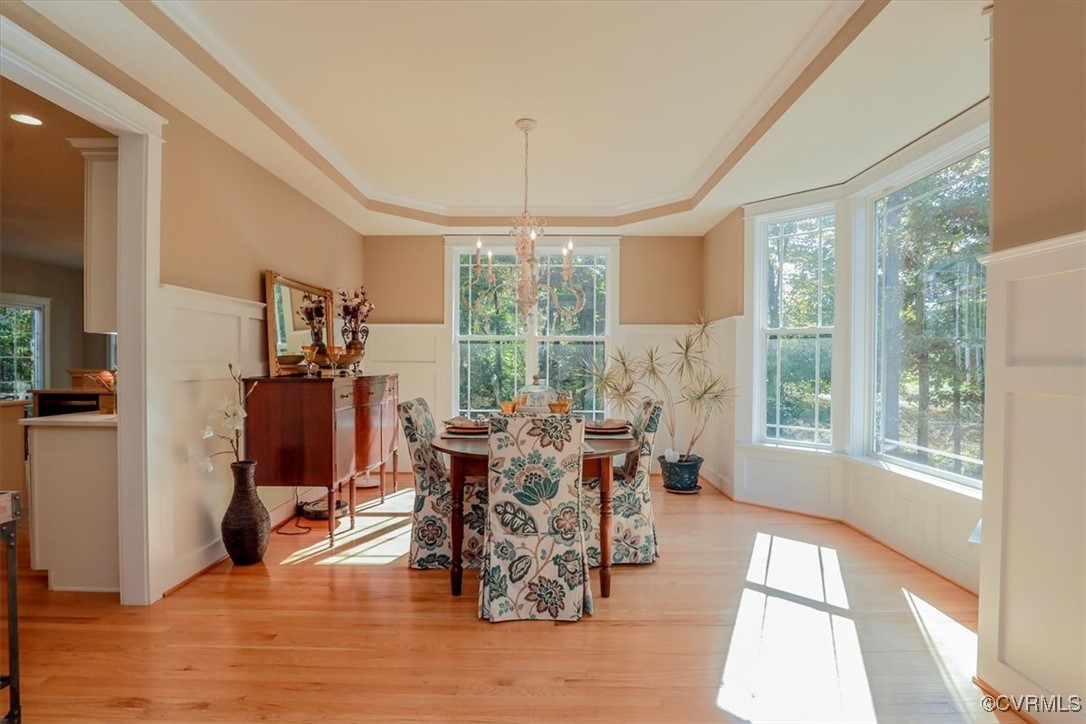 12213 Golden Aster Ter