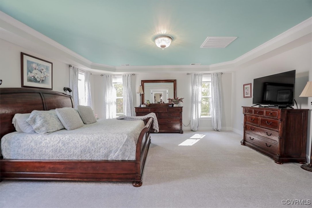 12213 Golden Aster Ter