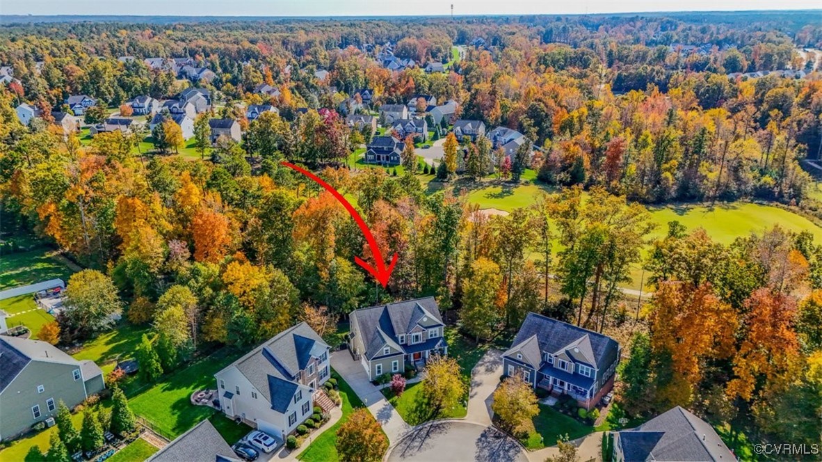 12213 Golden Aster Ter