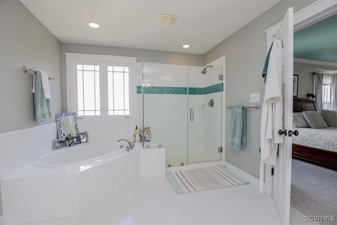 12213 Golden Aster Ter