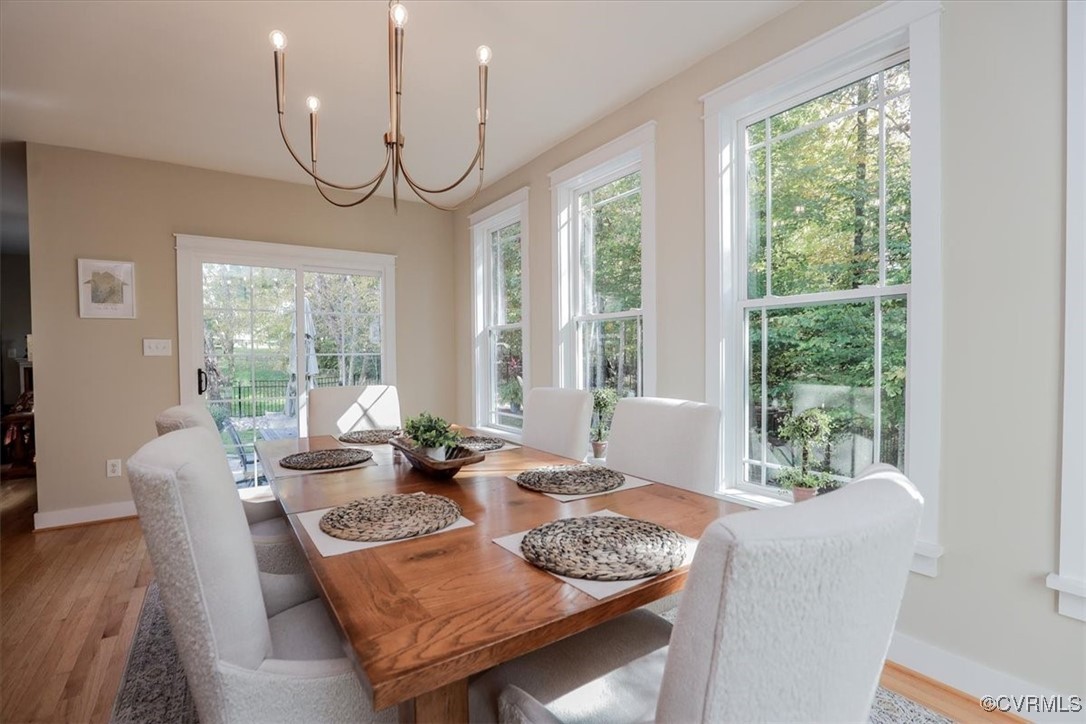 12213 Golden Aster Ter