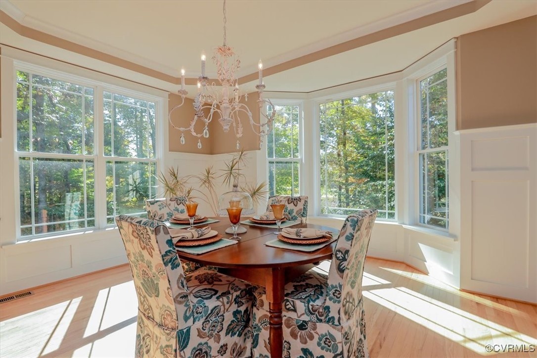 12213 Golden Aster Ter